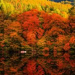 Autumn colour trees and boat on water at loch Faskally with mirror reflection on water located in Pitlochry, Perthshire, Scotland.